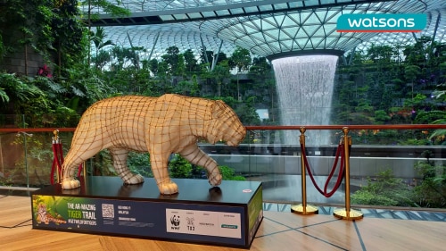 Watsons Supports Tiger Conservation