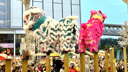 Celebrating Chinese New Year Across Asia