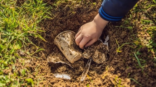 Sustainable or Misleading? A Closer Look at Biodegradable Packaging