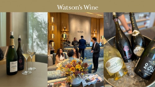 Sophisticated with Fine Bubbles