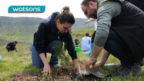 Planting the Sustainable Future