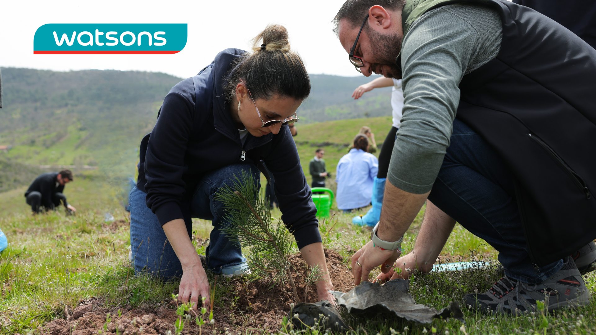 Planting the Sustainable Future