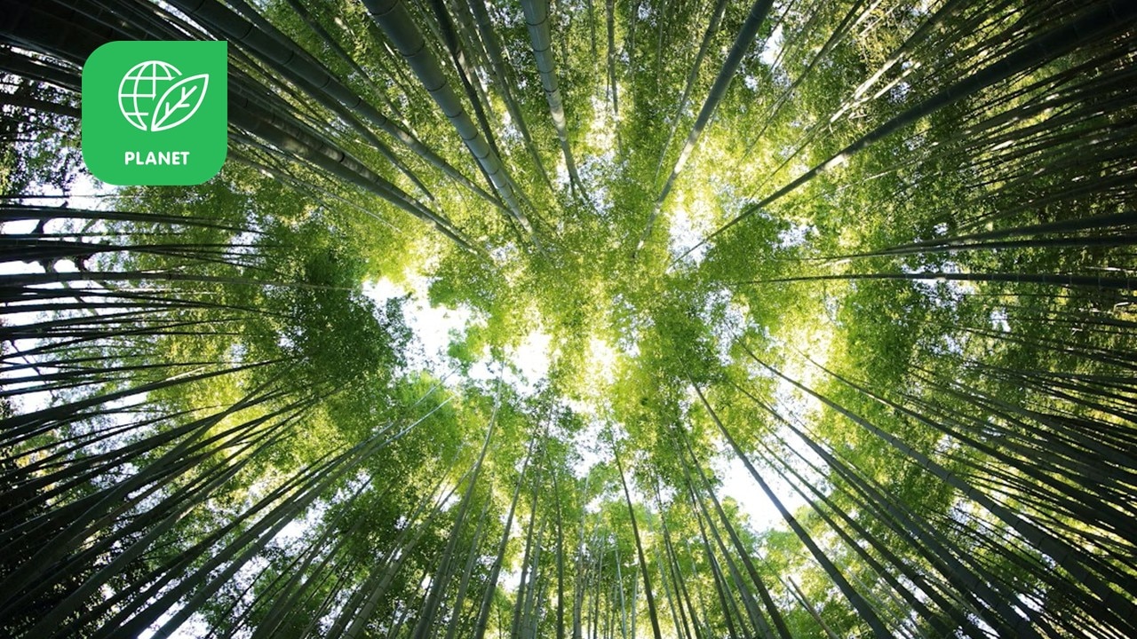 AS Watson Steps Up Climate Action for Planet Progress